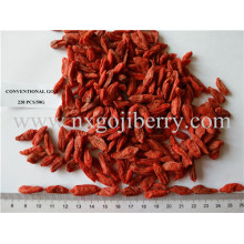 Dried Goji Berries Frutas Distribuidores